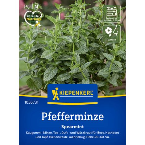 Kiepenkerl Kräutersamen Pfefferminz Spearmint für ca. 200 Pflanzen (1/2)