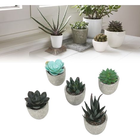 Ensemble de plantes succulentes artificielles - Plantes succulentes simulées en pot TZ020 - Ensemble de 5 plantes succulentes en pot en pulpe (1/5)