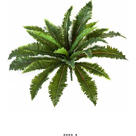 Fougère Asplenium artificielle en piquet 24 feuilles H 70 cm Vert (1/2)