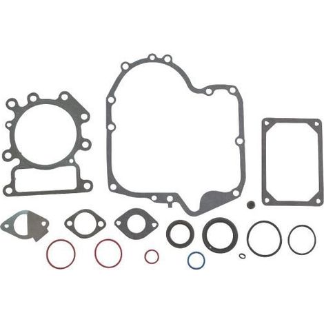 Pochette de joints Briggs et Stratton 796187 - 794150
