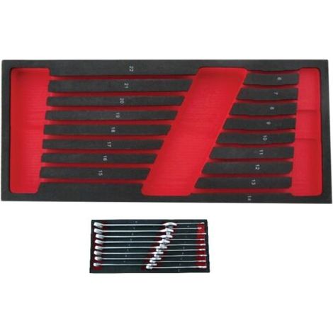 MODULO EVA VACIO PARA 17 LLAVES COMBINADAS 6-32mm. - 6876 (1/2)