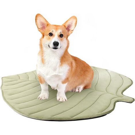 Kühlmatte für Haustiere Kühlmatte für Hunde Natürliche Kühlung ohne Strom Rutschfeste Unterseite Kühlmatte für Hunde und Katzen Frei von giftigen Grün (1/5)