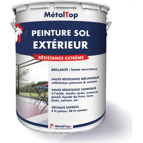 Peinture Sol Exterieur - Ivoire - Ton pierre - RAL 1015 - 5 L - Métaltop (1/5)