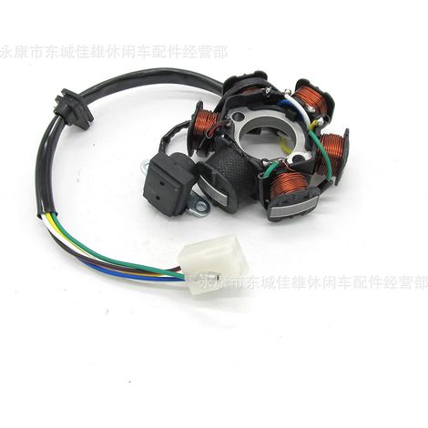 Offroad-Motorrad-Modifikationsteile, horizontale 6-polige Magneto-Statorspule, Teile der Güteklasse B für 50-125cc Hochleistungsmotorräder. (1/5)