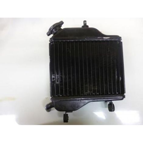 [GEBRAUCHT] [GEBRAUCHTWARE] Originaler Kühler für Motorrad 422100-5831 (1/2)
