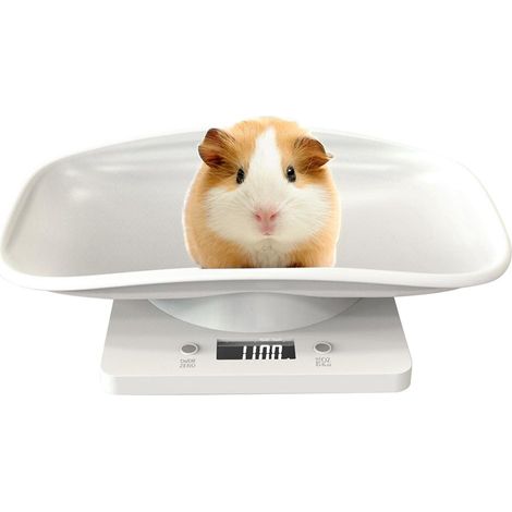 Balance numérique pour animaux de compagnie, balance de cuisine multifonction avec écran LCD, balance électronique 10 kg, accessoires pour animaux de compagnie (1/3)