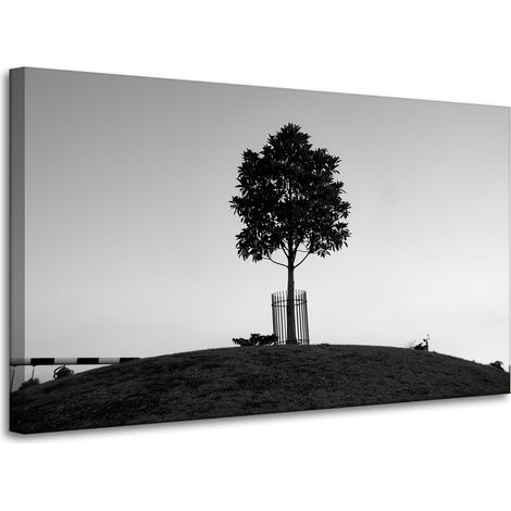 Leinwanddruck Natur Baum Schwarzweiß 100x60