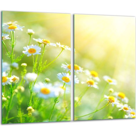 Tabla de cortar de vidrio 2x 30x52 flores (1/5)