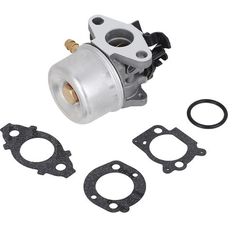 Carburateur pour Moteur Briggs & Stratton Professional 775 (175cc) (1/5)