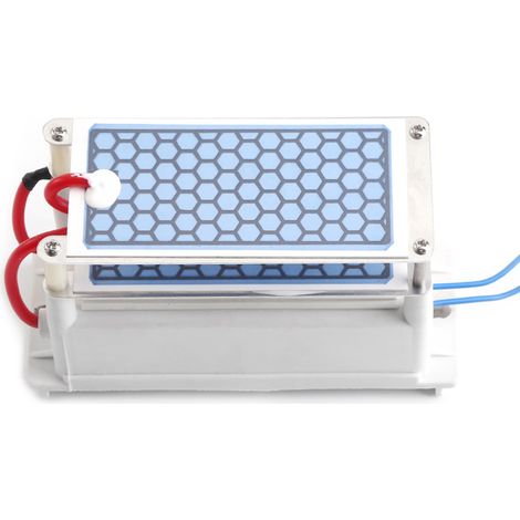 Générateur d'ozone portable 10 g/h, 110 V CA, stérilisateur d'air à plaque céramique intégrée (1/5)