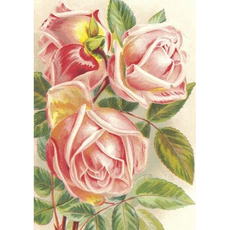 Karte ST472 B6 + Umschlag Rosa Rosen