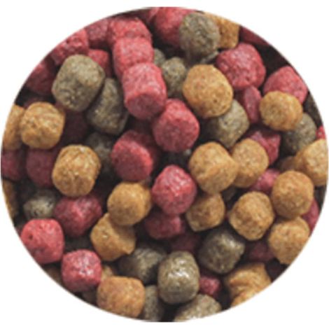 Mangime per Pesci Fish Mix Universal Menu 6 mm 5,4 L Ubbink (1/3)