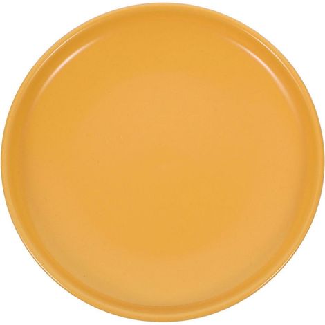 Gamelle pour chat, assiette en céramique pour friandises pour chien, bol peu profond pour animaux de compagnie (1/5)
