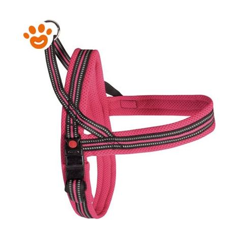 Camon Dog Pettorina Mesh Dynamic Plus - Fucsia - Accessori