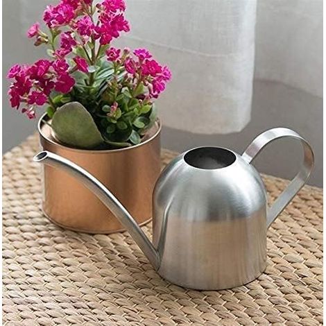 Arrosoir de 500 ml en acier inoxydable plaqué or avec long bec verseur pour jardin, serre, usage intérieur et extérieur (Couleur : Argent) (1/5)