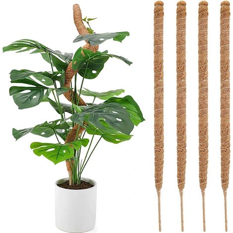 Filiyano-Lot de 4 supports en mousse pour Monstera, supports flexibles en fibre de coco pour plantes grimpantes d'intérieur, 60 cm