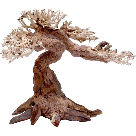 Amtra Legno Oriental Wind 5 taglia S, decorazione in legno per acquario fatto a mano, tronco naturale ornamentale, accessorio arredo decorativo, 24x11x17 cm (1/3)