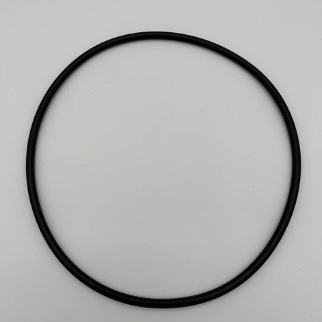 Joint torique 87300400 – Pour filtre EasyClean Predator – Lot de 10, étanchéité réservoir garantie