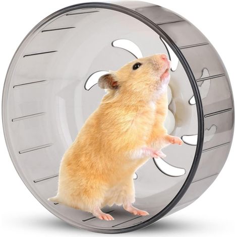 Rueda de carreras de hámster acrílica pequeña con almohadilla de PET, rueda deportiva de PET, juguete para correr, lavable, juguete silencioso, rueda de carreras (rueda de carreras gris de 13 cm)