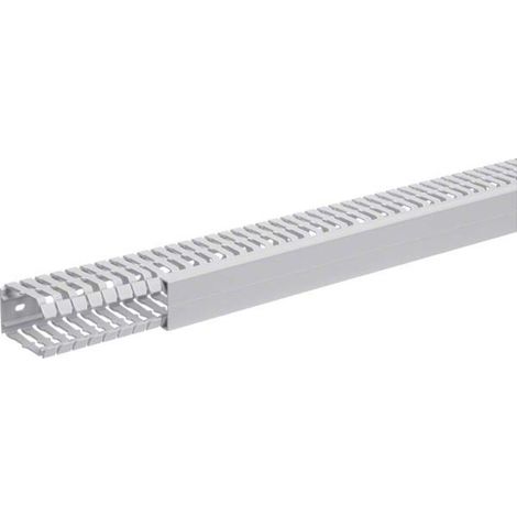 Tehalit Verdrahtungskanal 60x40mm BA7 60040 gr 2 Stk