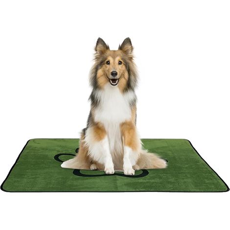Alèses pour Chien - Alèse pour Chiot - Super Absorbante à Fond Imperméable (1/5)