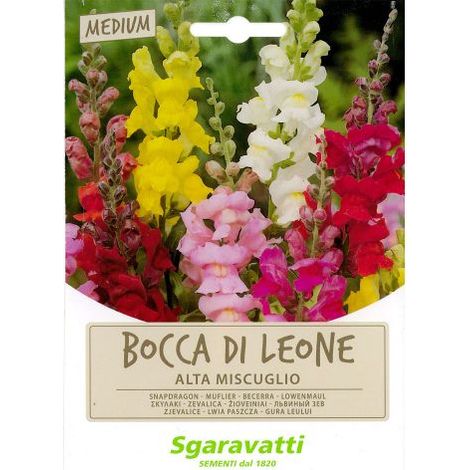 SEMI PER PRATO UNIVERSALE bocca di leone