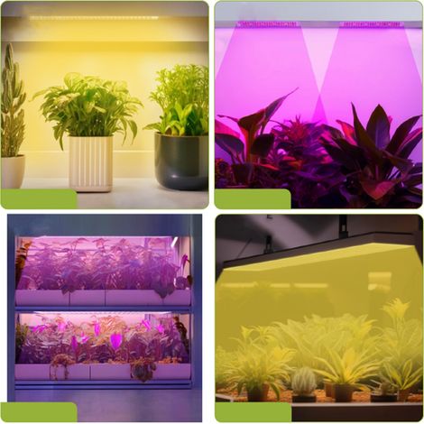 Lampe de culture LED avec 1 panneau et variateur à 4 niveaux-AquaForge (1/4)