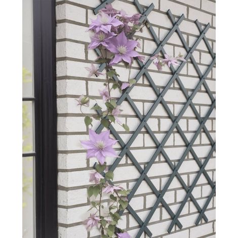 Traliccio estensibile NATURE in plastica antracite 50 x 150 cm (1/5)