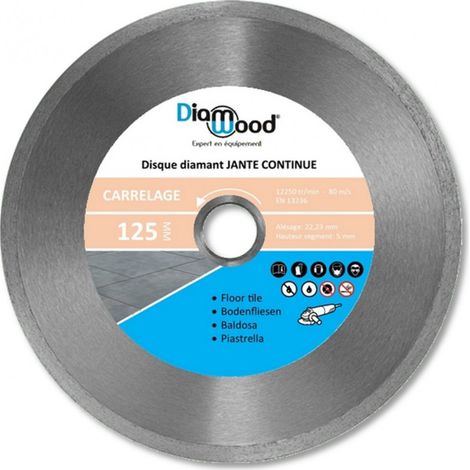 Disque Diamant à Segments LEMAN – Granit Et Pierre Naturelle – 125 X 22,23 Mm – Hauteur 12