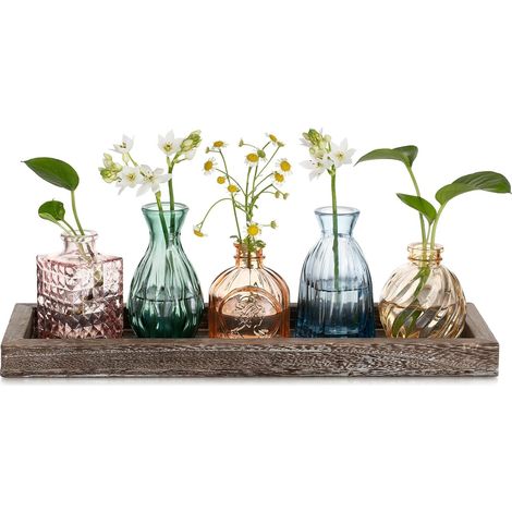 Petit Vase en Verre Decoratif: 5 Vase Fleur Soliflore en Verre avec Plateau en Bois pour Centre de Table - Coloré Mini Vases Decoratifs en Verre Vase Decoratif Design pour Decoration Interieur (1/5)