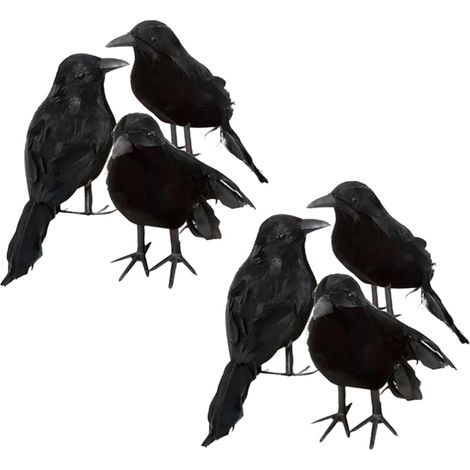 6 corbeaux d'Halloween, décorations de corbeaux artificiels en plumes d'oiseau noir (1/3)
