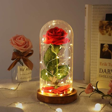 MINKUROW Beauty And The Beast Rose Set - Regalo Sorpresa Del Día De La Madre Para Mamá - Cúpula De Cristal De Rosa Eterna Con Luces Led Regalo Para Esposa Buenos Deseos (1/5)