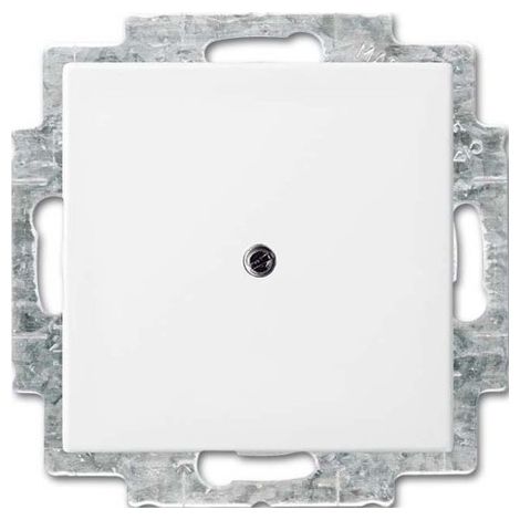 Busch-Jaeger 1715-0-0319 placa de pared y cubierta de interruptor Blanco
