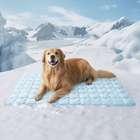 Tapis rafraîchissant pour chien Q-Max 0,5 - Tapis rafraîchissant pour chien et chat - Lavable et antidérapant - Lit d'été respirant - Bleu - 122 x 76 cm (XXL) (1/5)