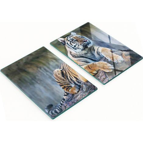 Pannelli decorativi multifunzionali in vetro con stampa tigrata 2x40x52 cm (1/5)