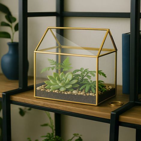 Terrarium en forme de serre pour plantes dinterieur (1/5)