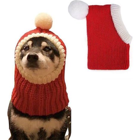 Chapeau pour animaux de compagnie, couvre-chef pour chien pour Noël et Halloween. M (1/5)
