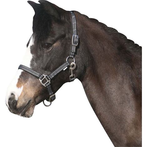 Horse Guard RIO Halfter - grau/schwarz - Pony (1/2)