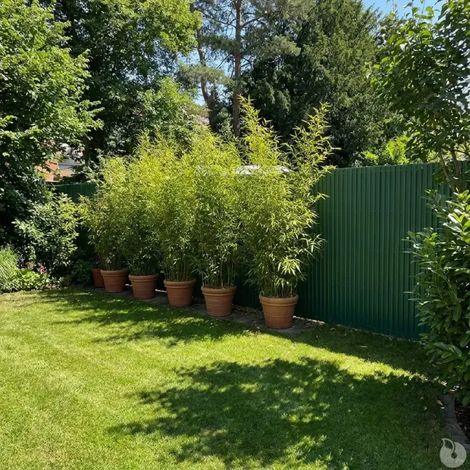 Canisse PVC simple face verte 1,5 × 3 m avec kit de fixation (1/5)