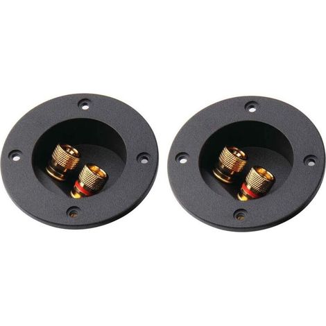Bornier Haut Parleur 2 Voies Bornier Enceinte 2pcs Enceinte Terminal Binding Post pour Subwoofer Fiches Câble Bornes