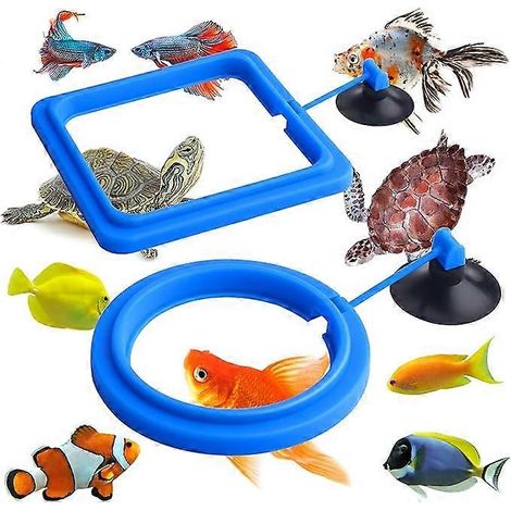 Anneau distributeur de nourriture pour poissons, 2 pièces, accessoires pour aquarium, anneaux distributeurs de nourriture pour poissons et tortues, rouge (bleu) (1/5)