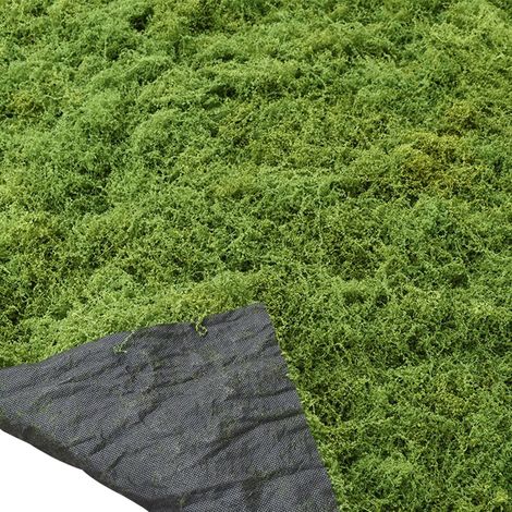 Tapis de Mousse Artificielle 100 × 100 cm, pour la décoration (1/5)