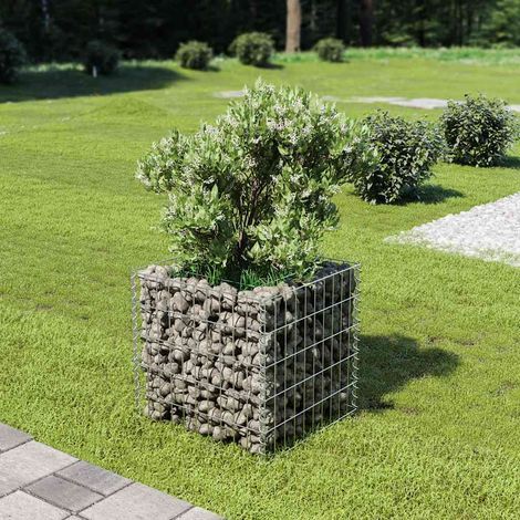 Lit surélevé à gabion Acier galvanisé 50x50x50 cm (1/5)