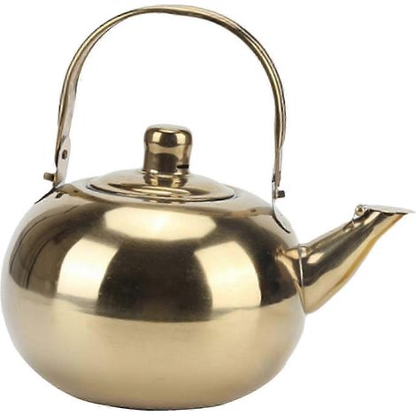 Teekanne mit Filter, Edelstahl-Teekessel, Kochtopf, Küchenutensil mit hitzebeständigem Griff, Campingauslauf mit Deckel, Wasserkocher-1L