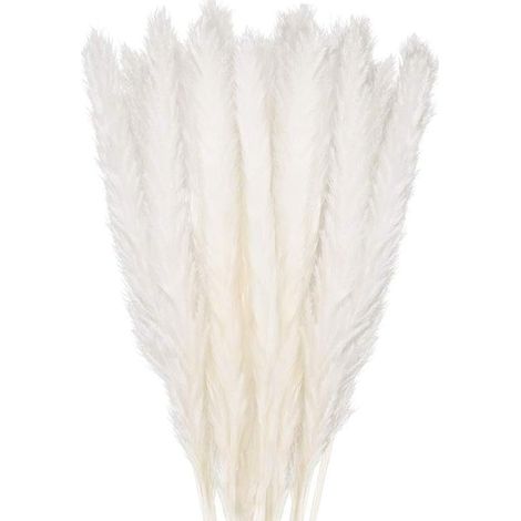 Bouquet de 30 fleurs séchées d'herbe de pampa 60 cm – Décoration boho pour salon et mariage – Fleurs naturelles pour vases (1/5)