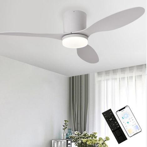 Ventilateur de plafond avec lumière, télécommande/contrôle par application, 6 vitesses de ventilation, minuterie, gradation continue (106 cm) (1/5)