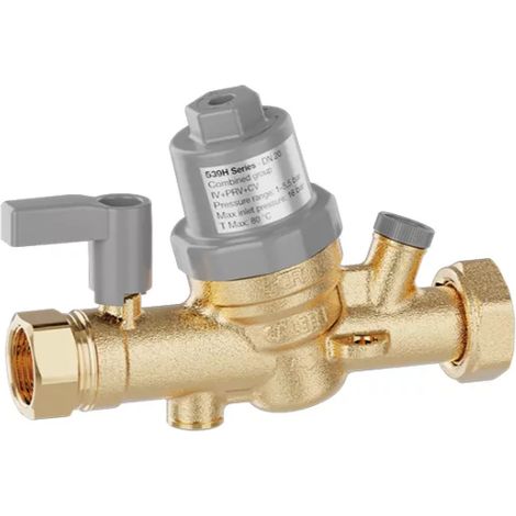 Gruppo combinato per il controllo della pressione degli impianti sanitari Caleffi 539050H  Rp 3/4" x G 1" Calotta mobile (1/3)
