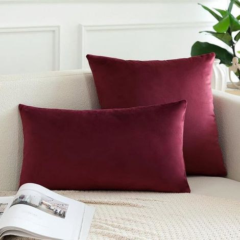Lot de 2 Housses de coussin, velours, doux, 60x60 cm, décoration salon (1/5)