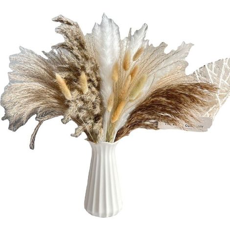 Pampas Grass - Natural Dried Flower Bouquet - Indoor Outdoor Decoration for Bedroom Balcony Kitchen Table Bathroom - 80 Pieces (1/5)