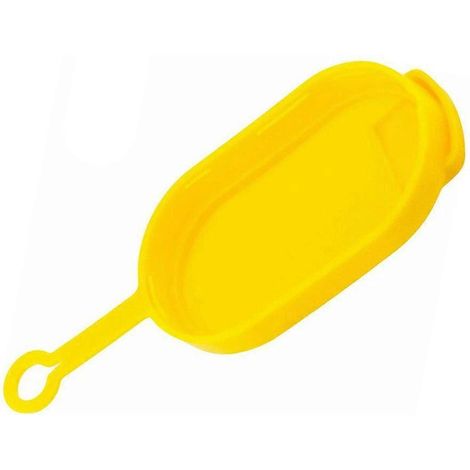 Bouchon de réservoir de lave-glace pour Renault Clio Lagna (1/4)